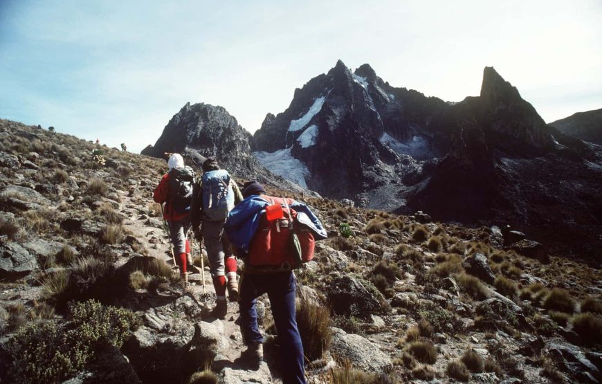 5 Days Trekking & Climbing Mount Kenya
