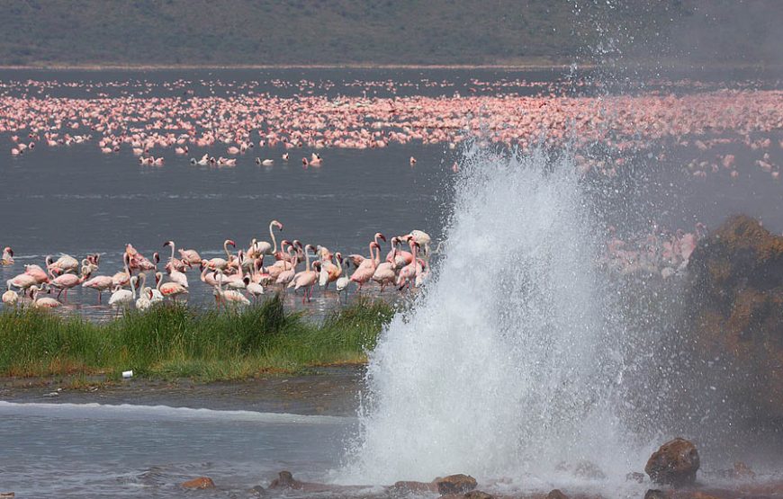12 days Samburu–Sweetwater’s-Lake Naivasha-Masai Mara-Amboseli np & Tsavo west  National park