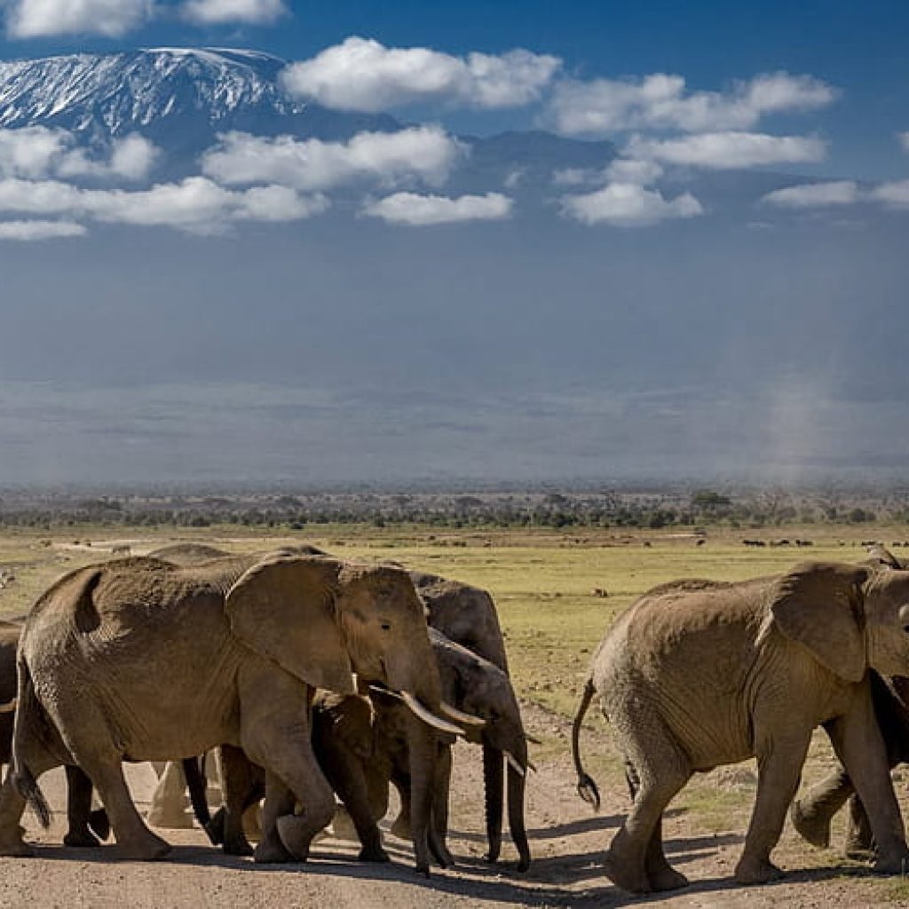 Mount Kilimanjaro National Park