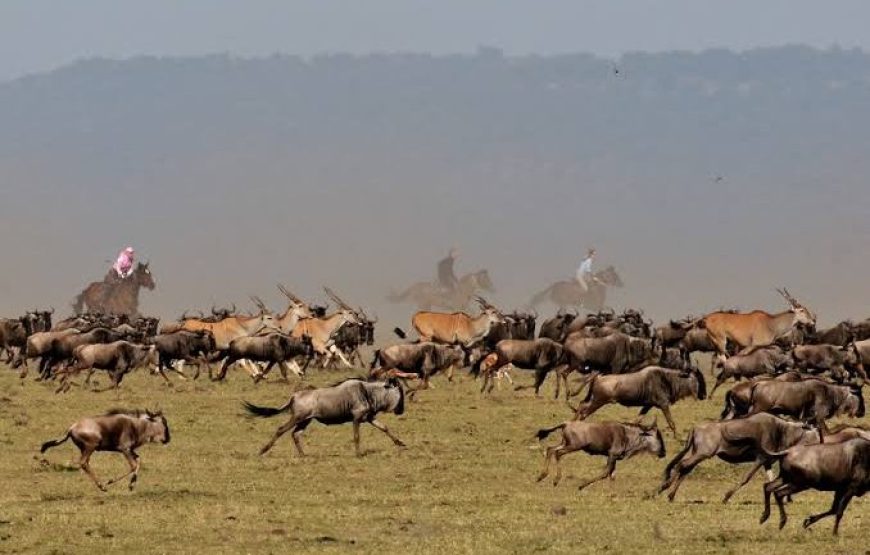 3 Days Masai Mara National Reserve