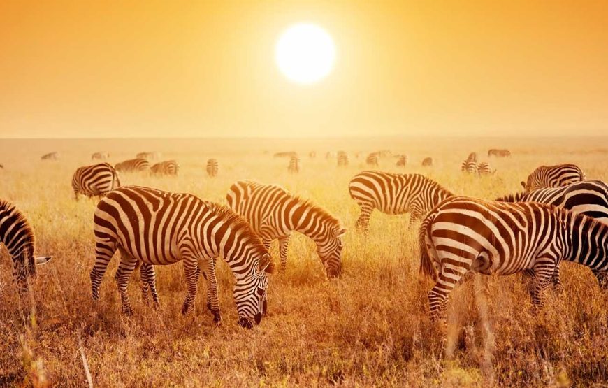 15 Days Kenya, Tanzania & Zanzibar Safari Tour