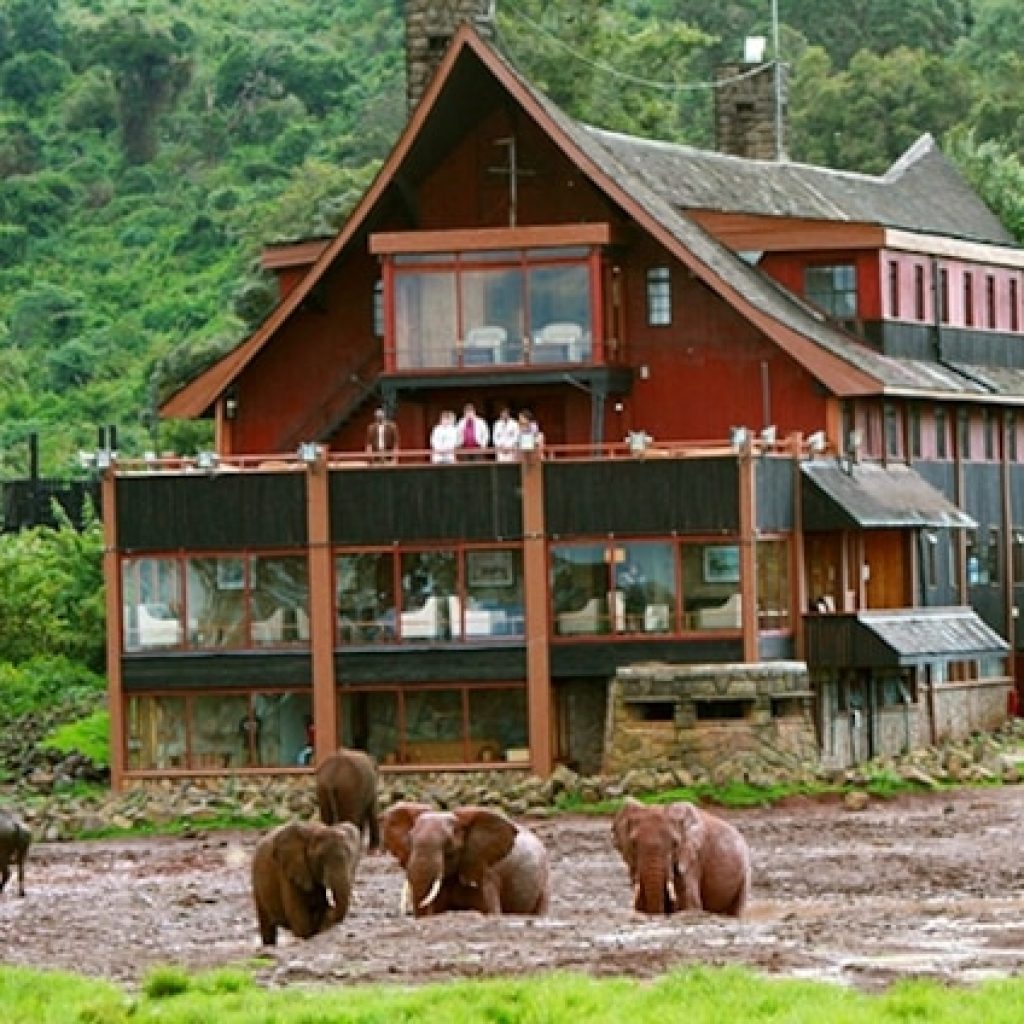 Aberdare National Park