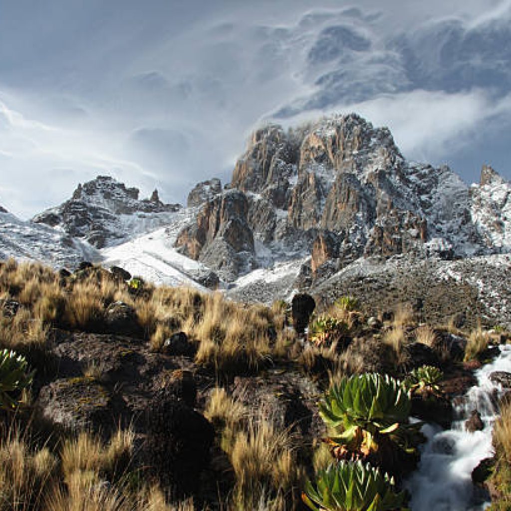 Mount Kenya National Park