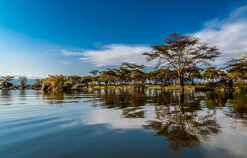 5 Days Lake Nakuru National Park – Lake Naivasha – Masai Mara National  Reserve