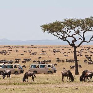 Africa tours