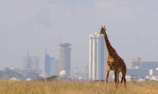 NAIROBI NATIONAL PARK