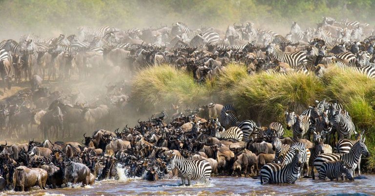 National parks in Africa