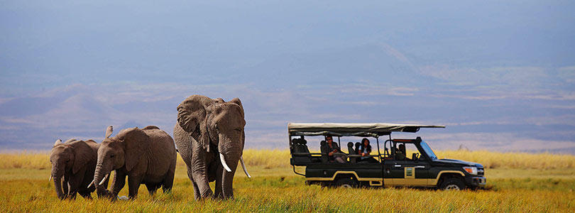 When Is the Best Time to Visit Kenya?